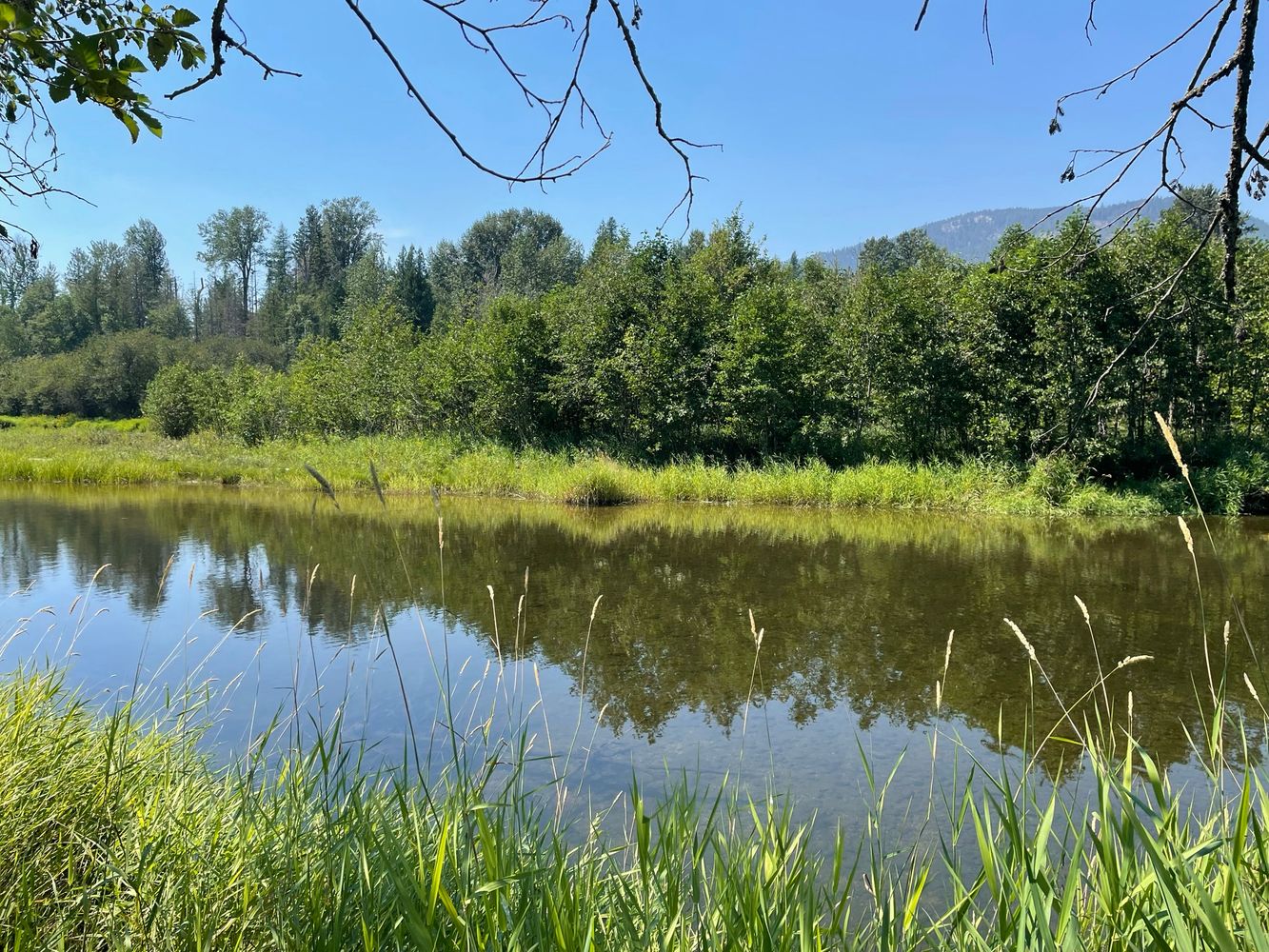 476910 Hwy 95, Ponderay, ID 83852
